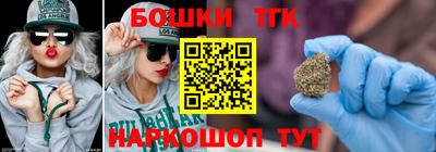 индика Гусь-Хрустальный