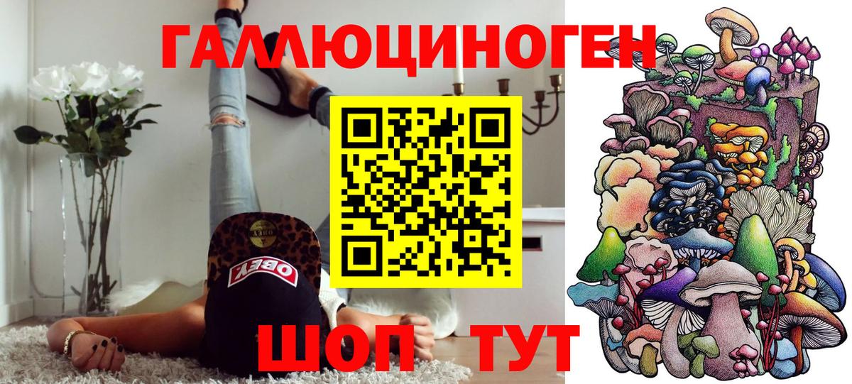 Псилоцибиновые грибы Cubensis  Вход с VPN  Пугачёв 