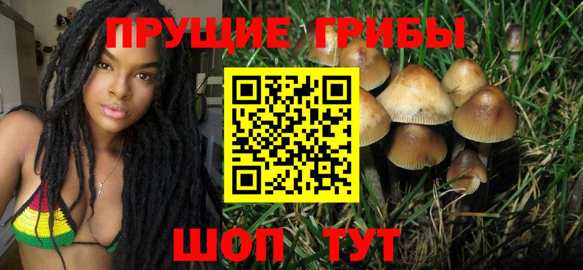 Псилоцибиновые грибы Magic Shrooms Пугачёв