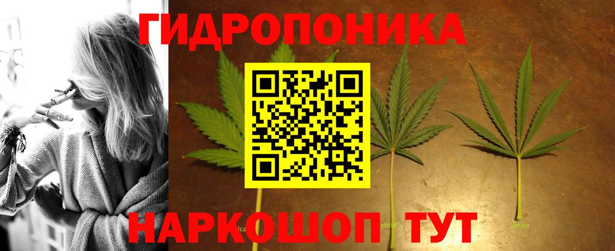 МАРИХУАНА VHQ  Шишки марихуана Ganja  Вход с VPN  Каннабис индика  Пугачёв 